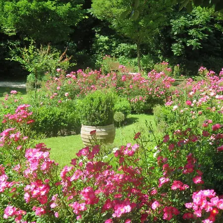 Boutiquehotel Sissi Salzbourg