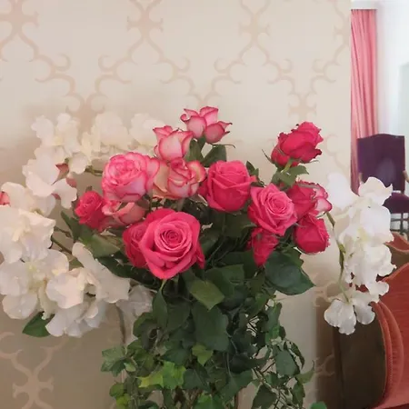 Boutiquehotel Sissi Hotel