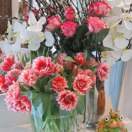 Boutiquehotel Sissi Hotel